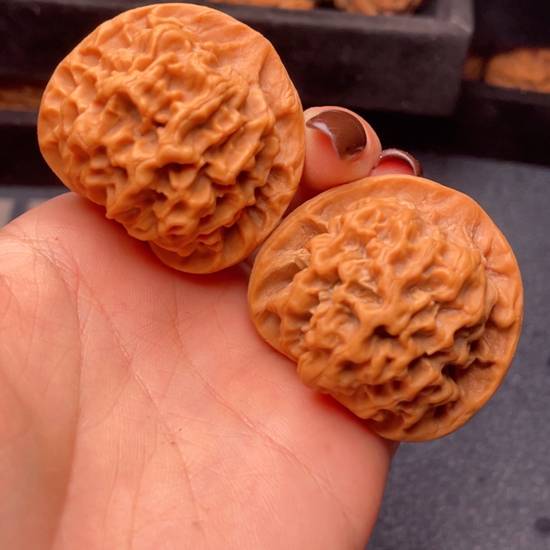 文玩核桃吊坠秦岭核桃36