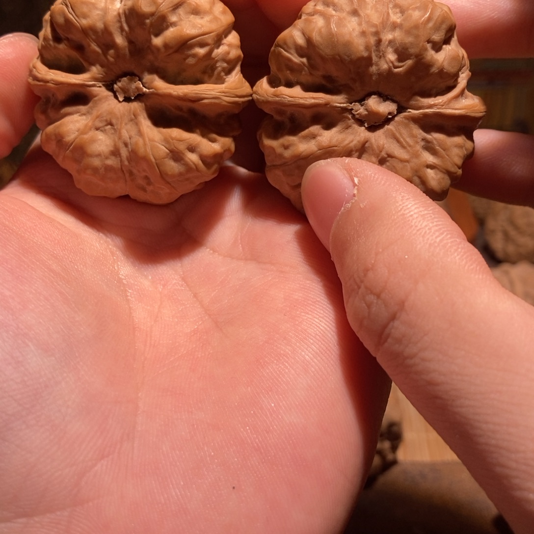 發***.文玩核桃吊坠蛤蟆头D21