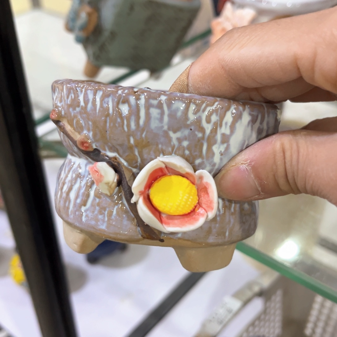 红陶福利福利福利福利