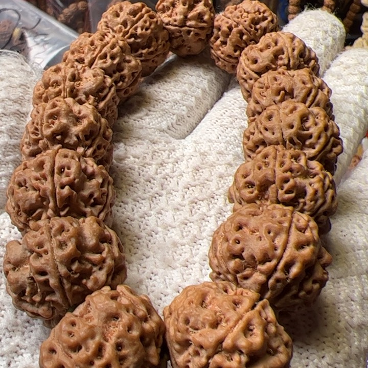 金刚菩提手串23➕平头大粗筋梅花超头