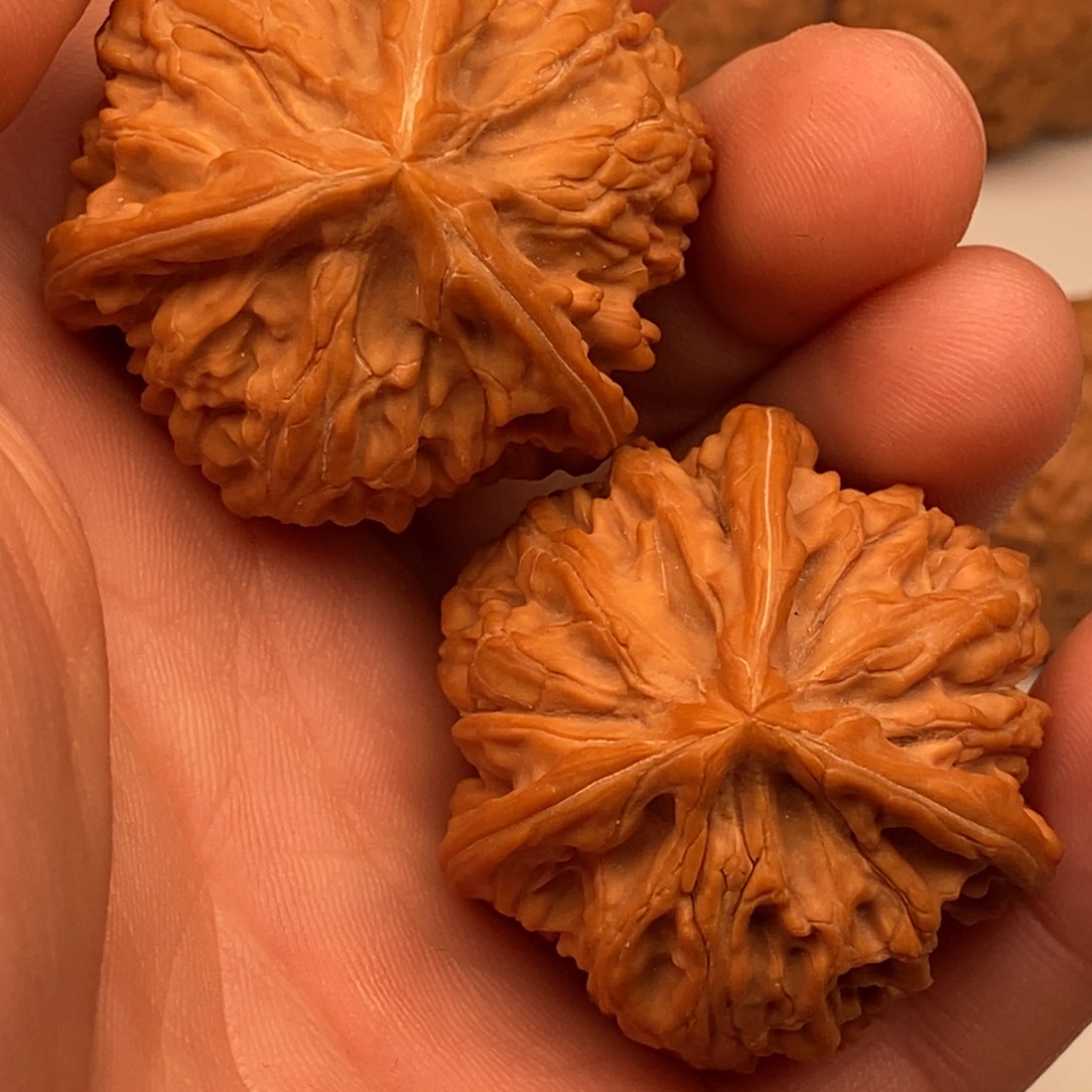 文玩核桃把件40文山三棱