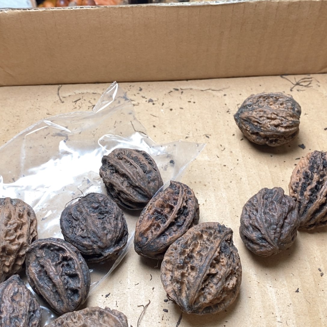 吊坠文玩核桃核桃12