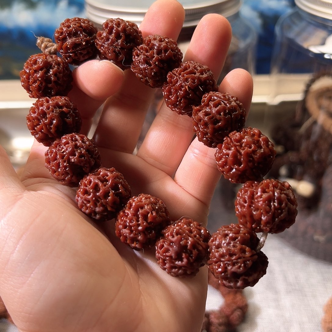 金刚菩提手串蜂窝双龙5瓣21mm原生态