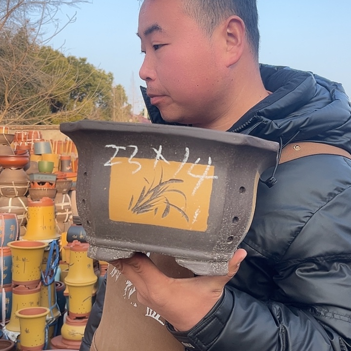 紫砂紫砂花盆盆栽