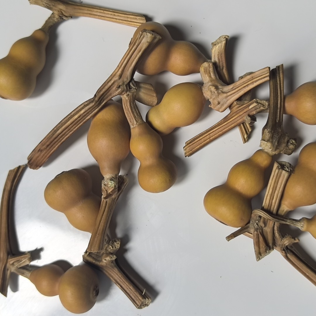 天然精品小葫芦文玩手把件直播间选品