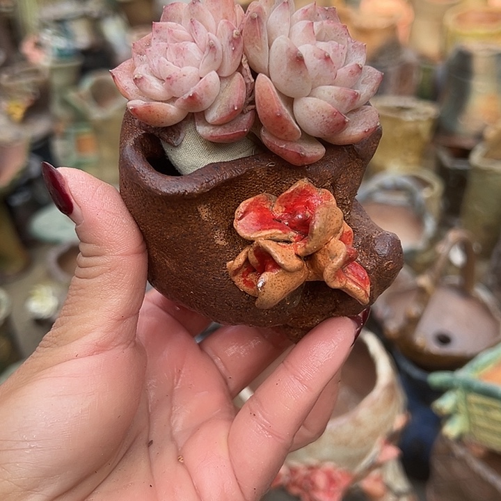 肉肉送的福利手工粗陶高温花器