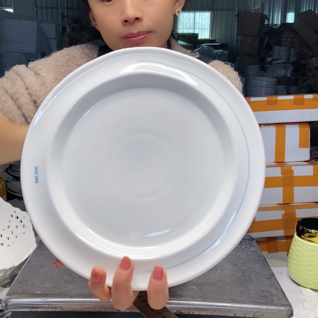 【闪购商品】碟?**?工厂库存微瑕产品237两个