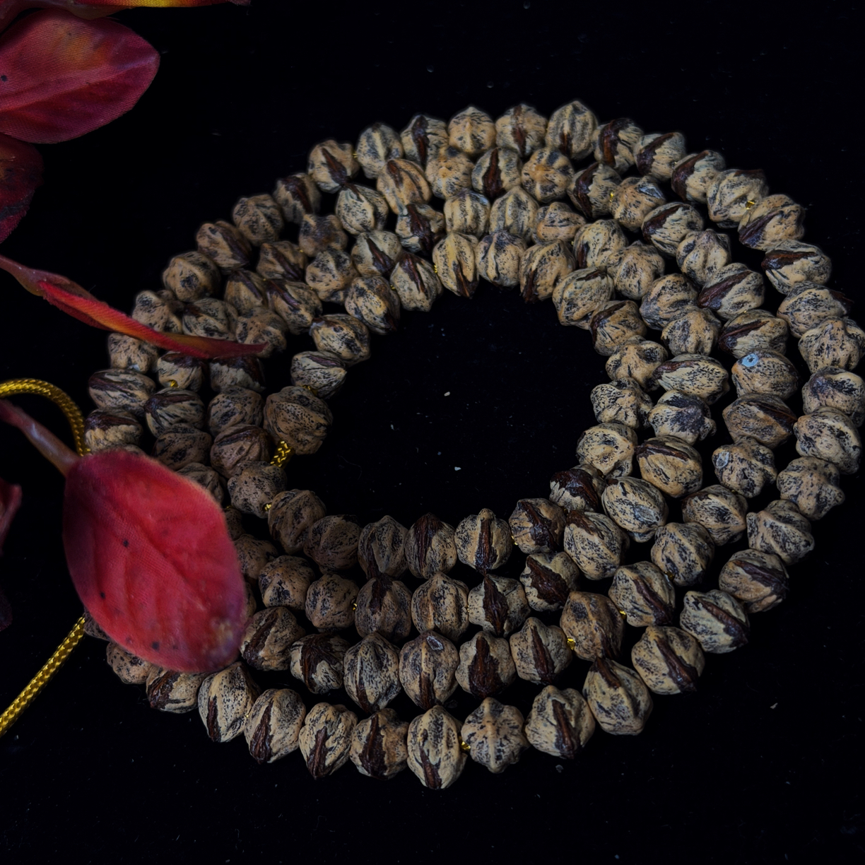 「玄月」热振红芽横打原桩高油高密老藏传风柏香籽百香籽可玩玉化