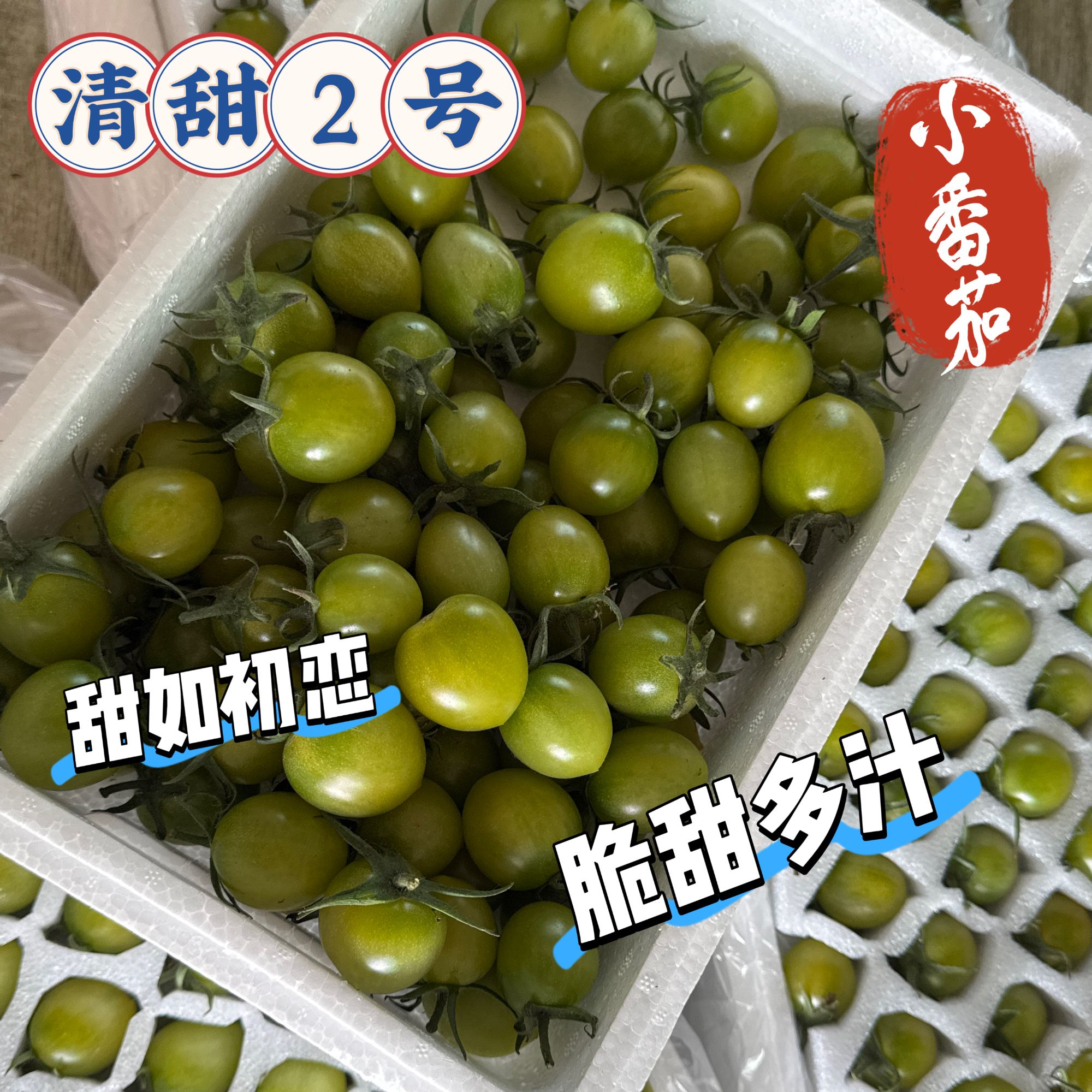 产地直发青甜二号绿色小番茄新鲜多汁自然成熟圣女果
