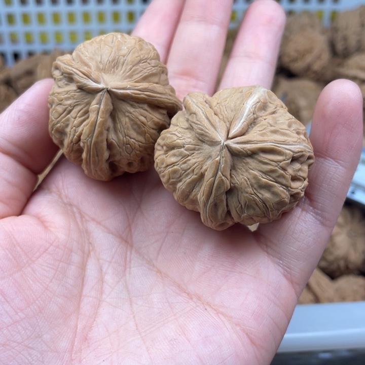 云***客文玩核桃吊坠元宝