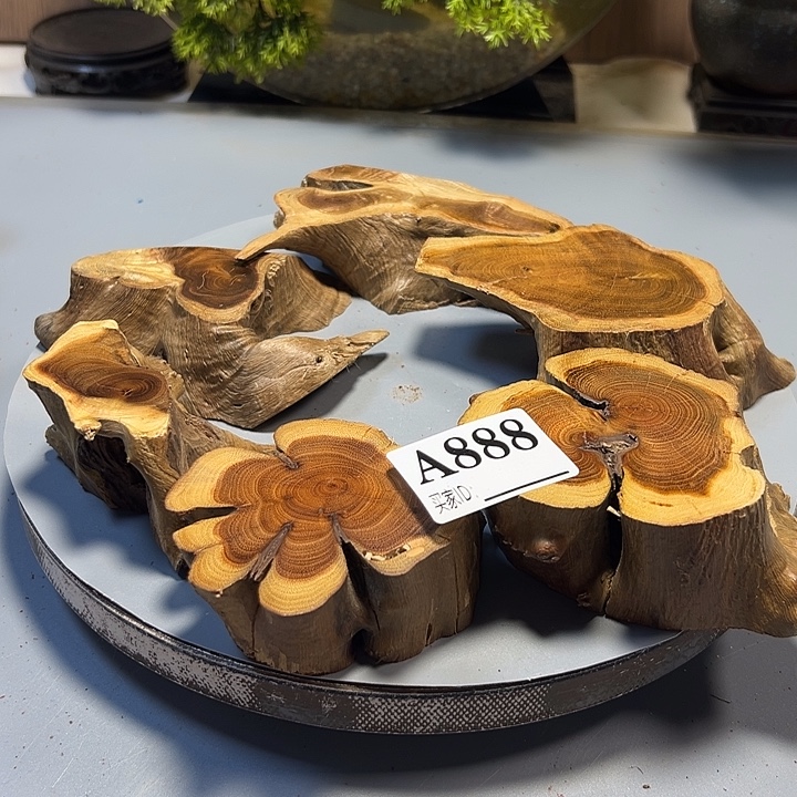 P***…大果紫檀（缅甸花梨）