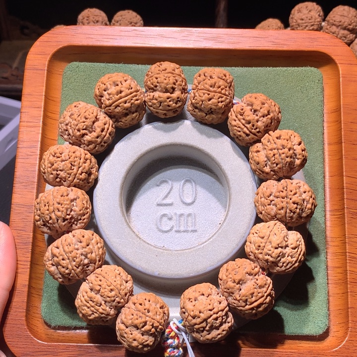 手串金刚菩提23+琅琊梅花