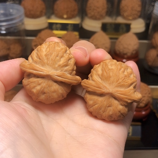 高端野生：石门元宝货头