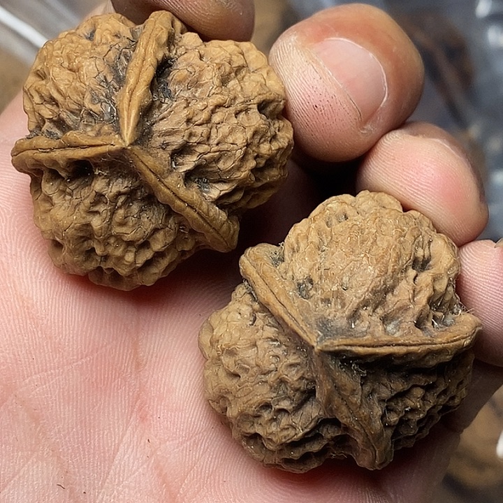 文玩核桃把件云南铁核桃59