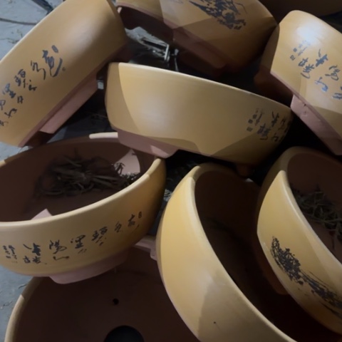 紫砂花盆100-8。100-8