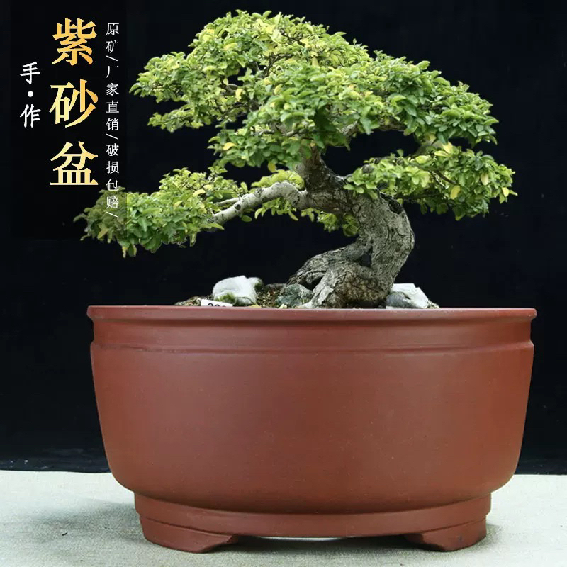 特大号圆形透气紫砂花盆适合种树种菜养兰花绿萝等盆景