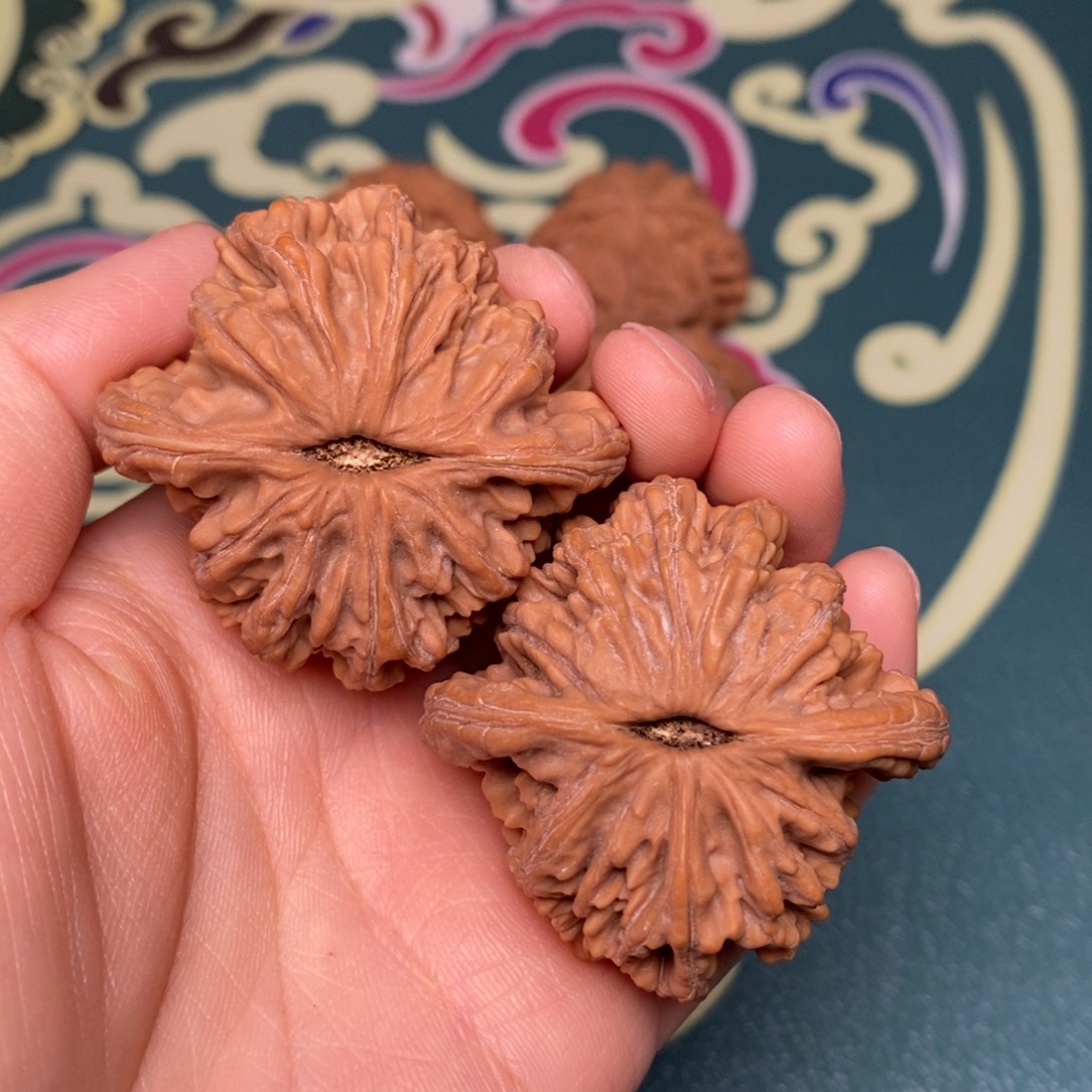 核桃45尺全品狮虎兽