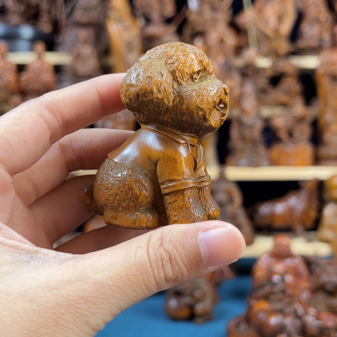 黄杨木小叶黄杨木