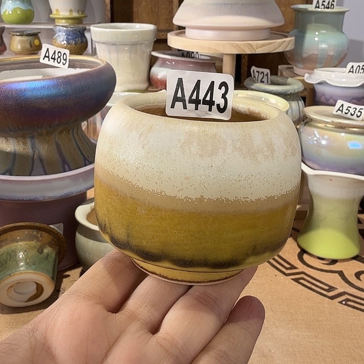 满28包邮当天凑够口5高6