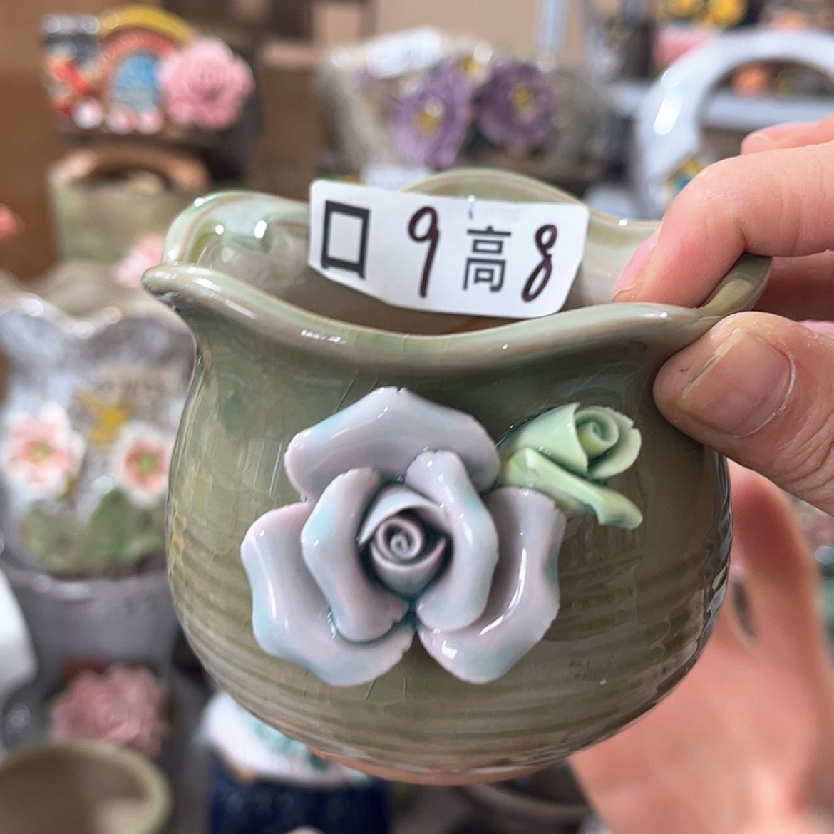 【闪购商品】红陶福利