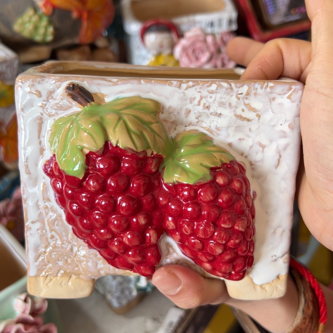 多肉花盆，满20米发货爱退款拉黑