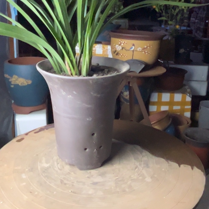 紫砂素面兰花盆18.18