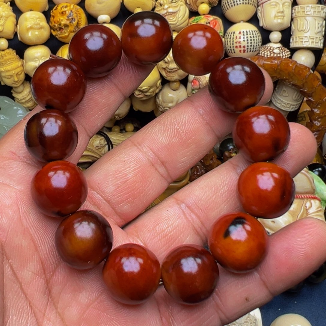 牛骨其他885687447974456898667