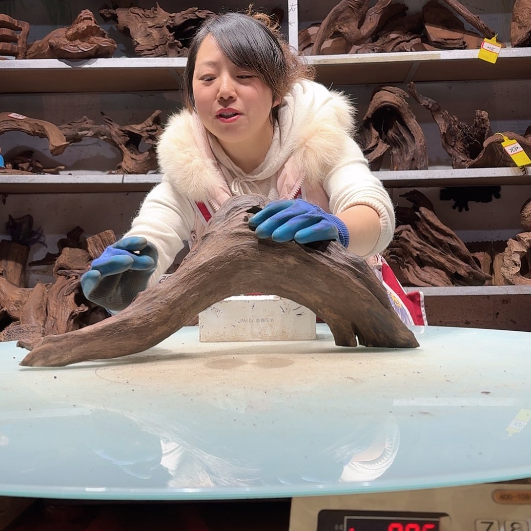 倍褚沉木不包损必褪色德****林5695