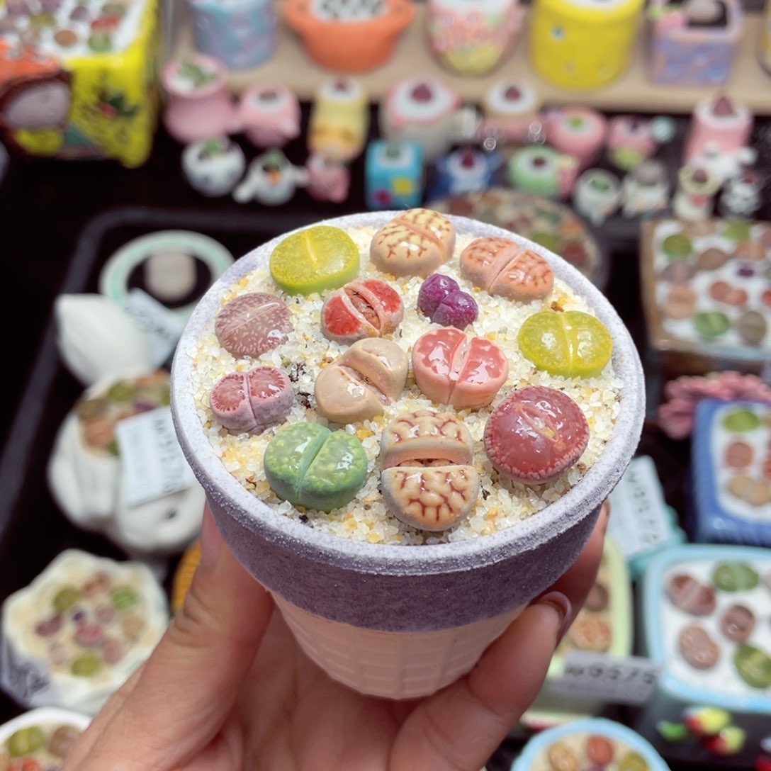 w9583 带盆土发货-零下地区拍保温箱