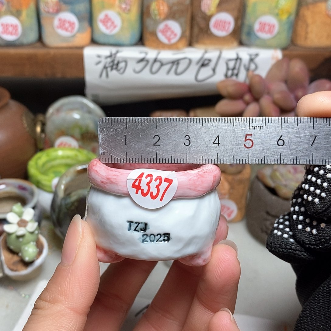 红陶拍5送一个小