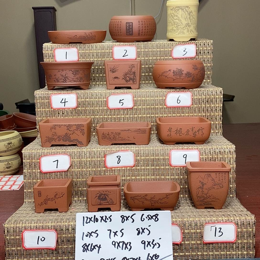 紫砂花盆我在等他