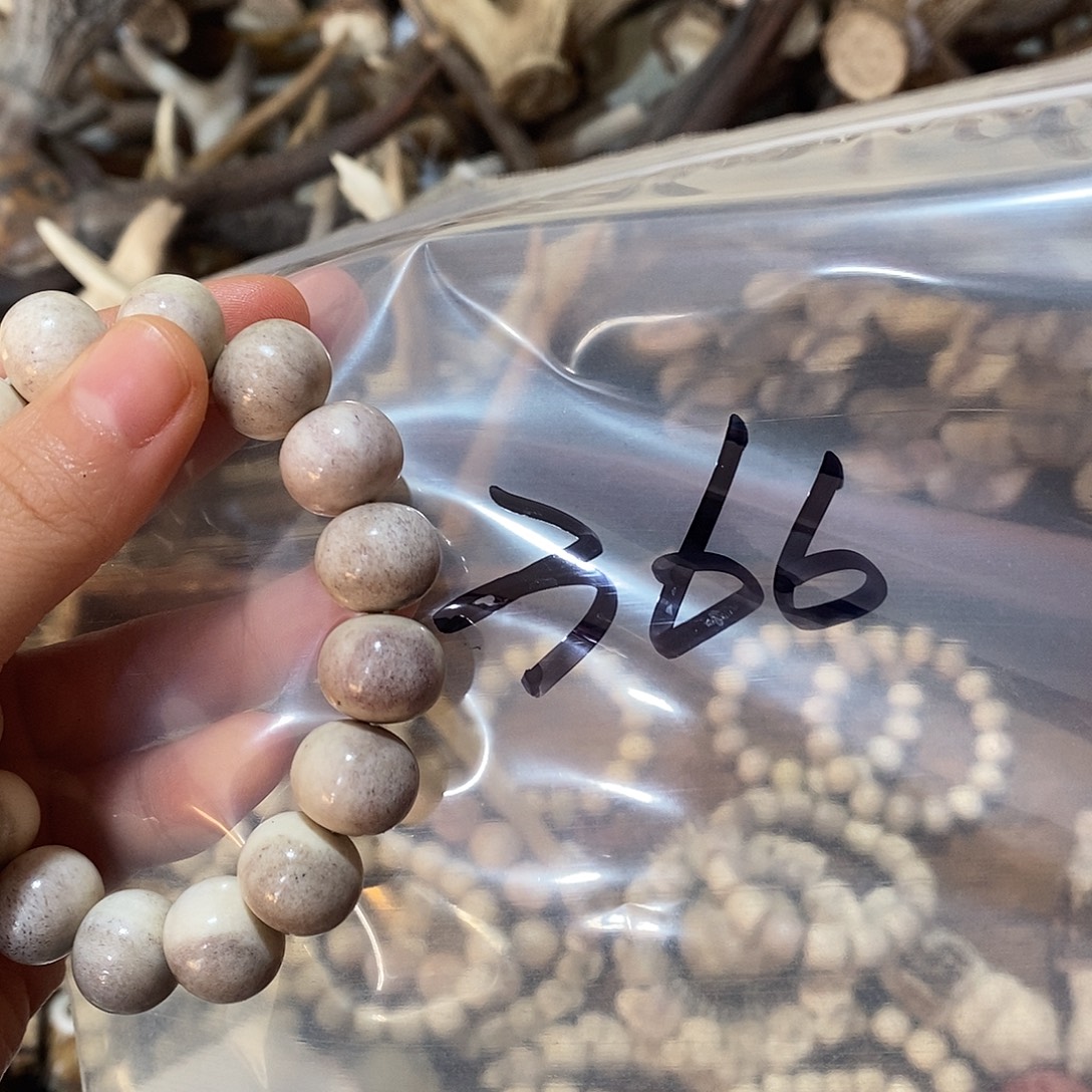 T***m非金属鹿角鹿角鹿角