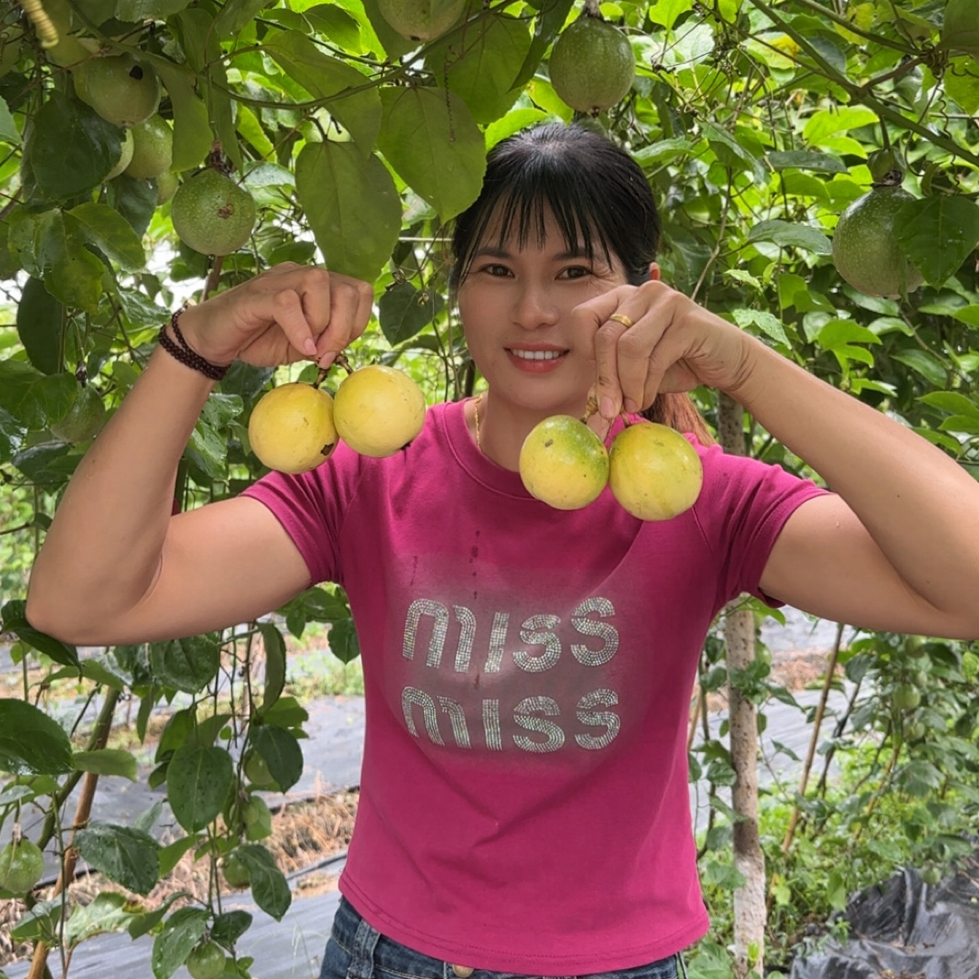 正宗广西上林钦蜜9号黄金百香果精选大果特大果混合发