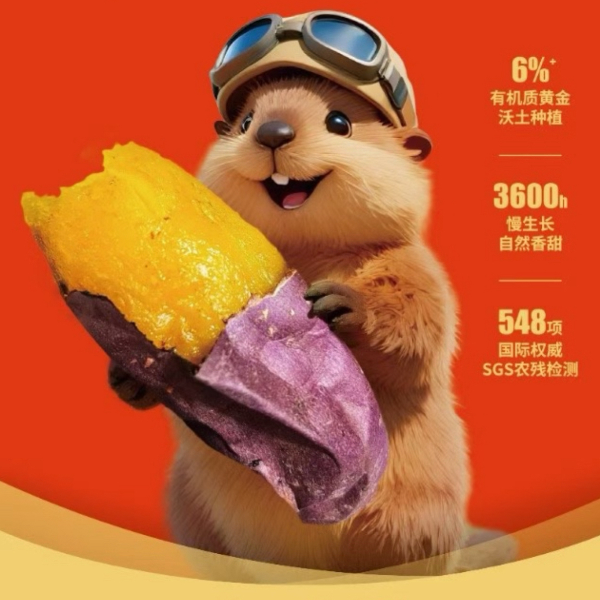 试吃  欢乐土拨鼠 云南蜜薯  红薯  1包  500克