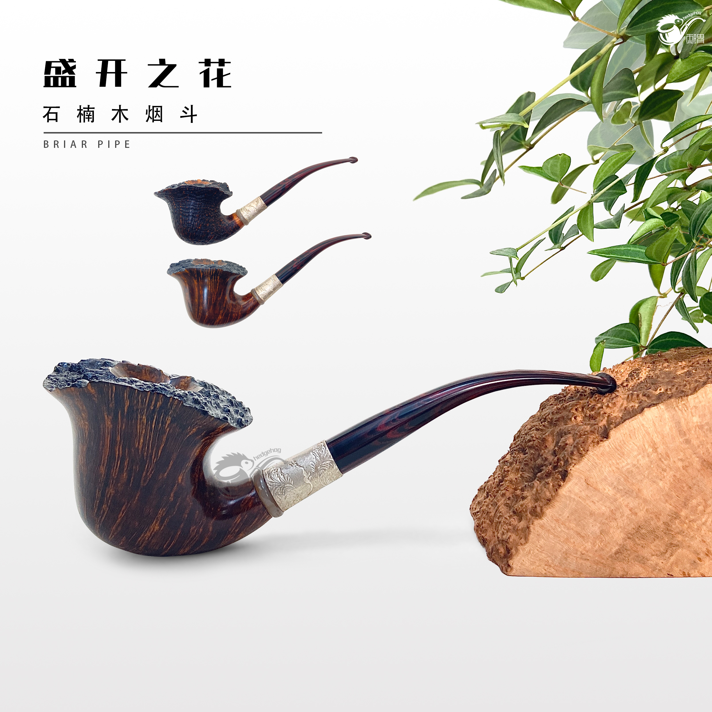刺猬石楠木烟斗 盛开之花