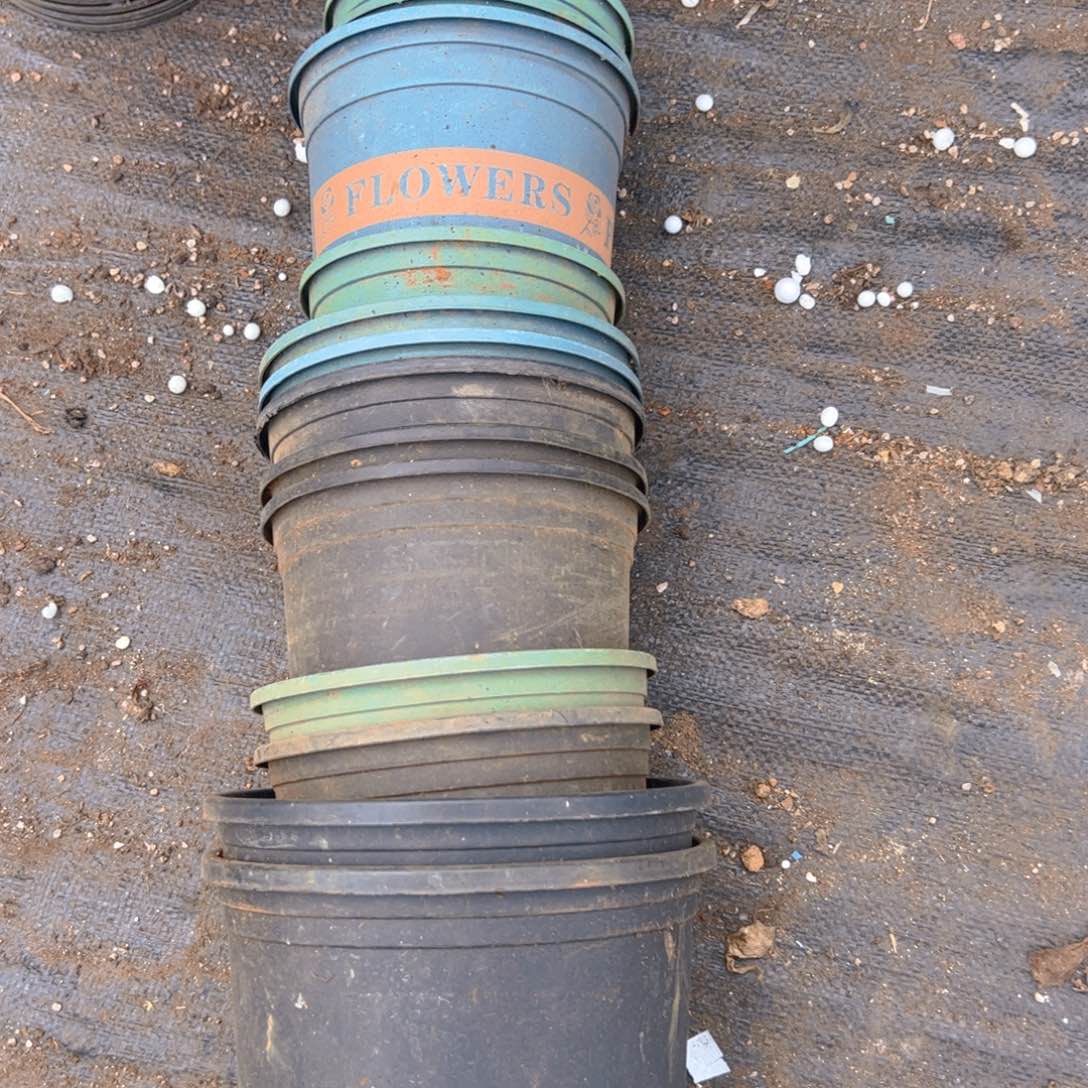 一条盆 打包 加伦盆混合