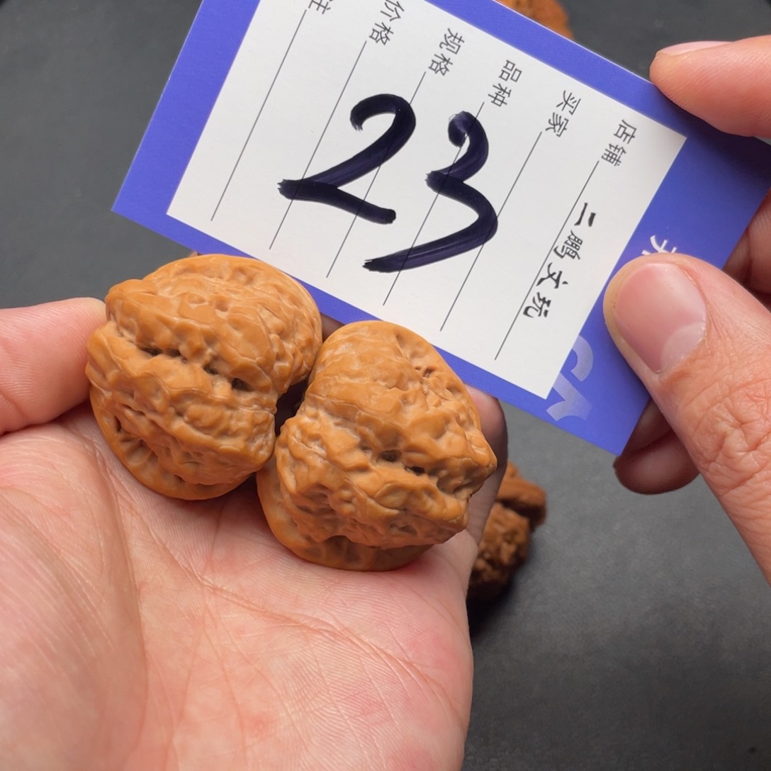 文玩核桃把件蛤蟆头39