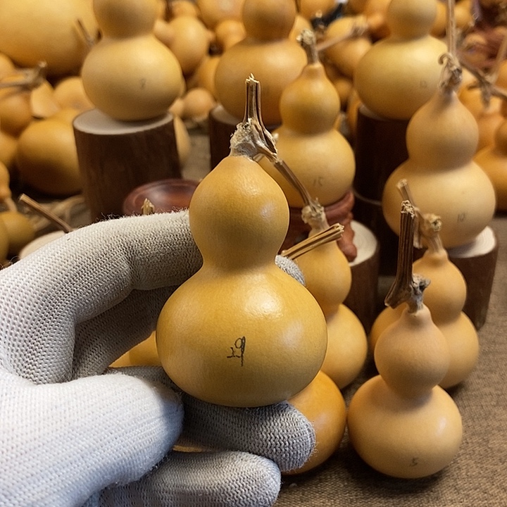 文玩葫芦 完美主义者 慎拍29