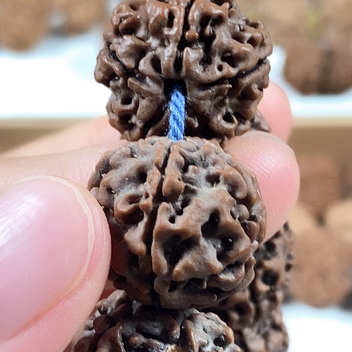 手串金刚菩提精品红皮蜂窝老梅花