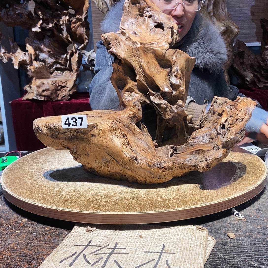 旭***哥437。株木随行根艺