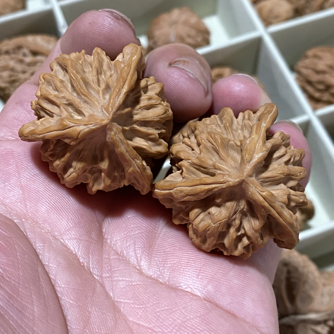 高端小众秦闷正奔三棱