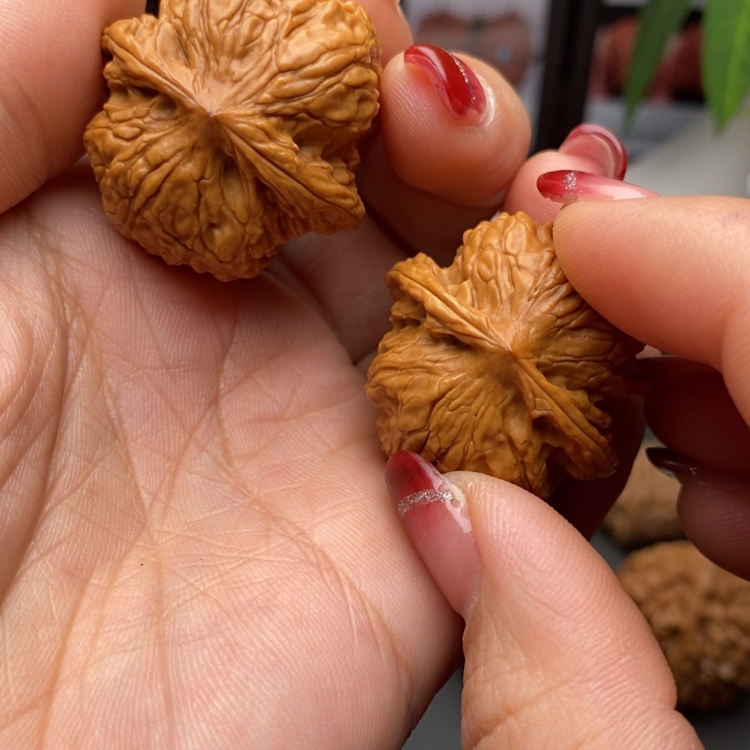 文玩核桃把件野狼