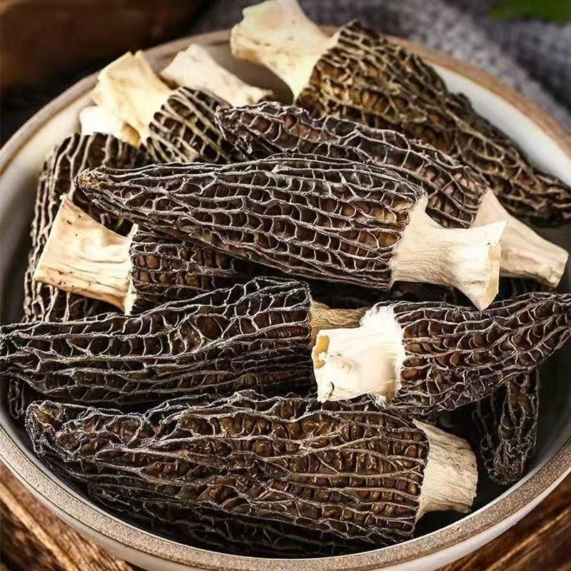 【藏区好物】高山羊肚菌
