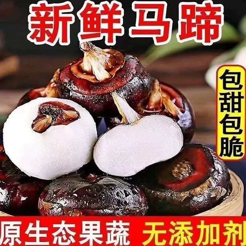 湖北特产新鲜现挖马蹄荸荠甘甜爽口脆嫩多汁无渣