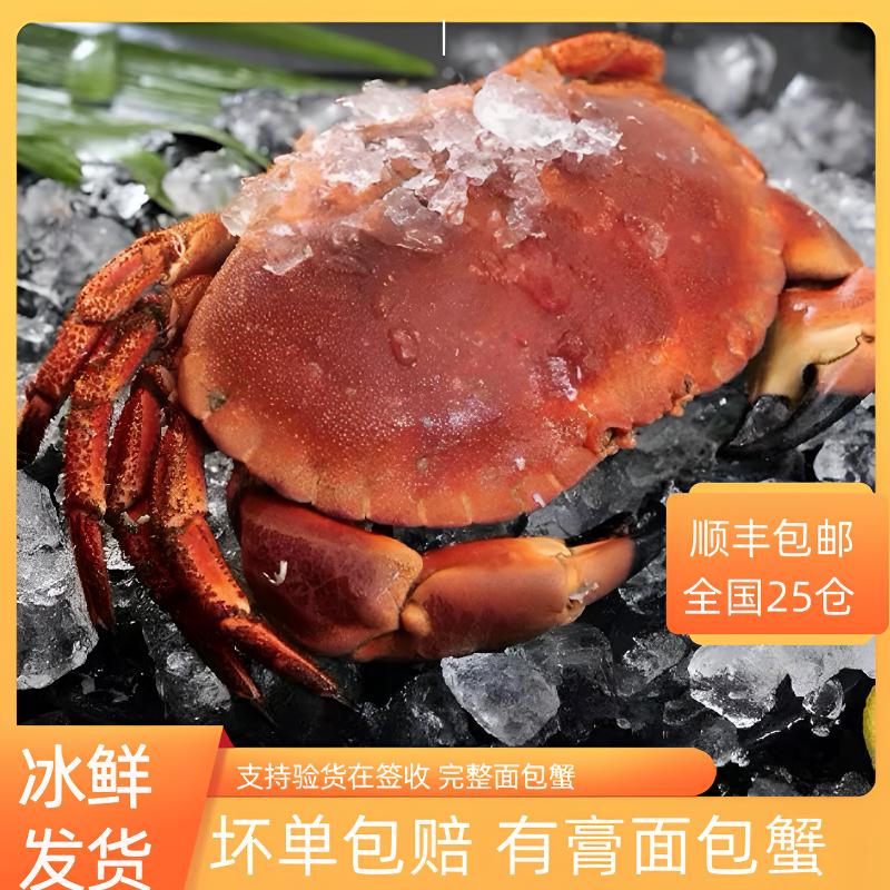 活冻锁鲜超大面包蟹海蟹新鲜水产珍宝蟹有黄顺丰包邮帝王蟹到家