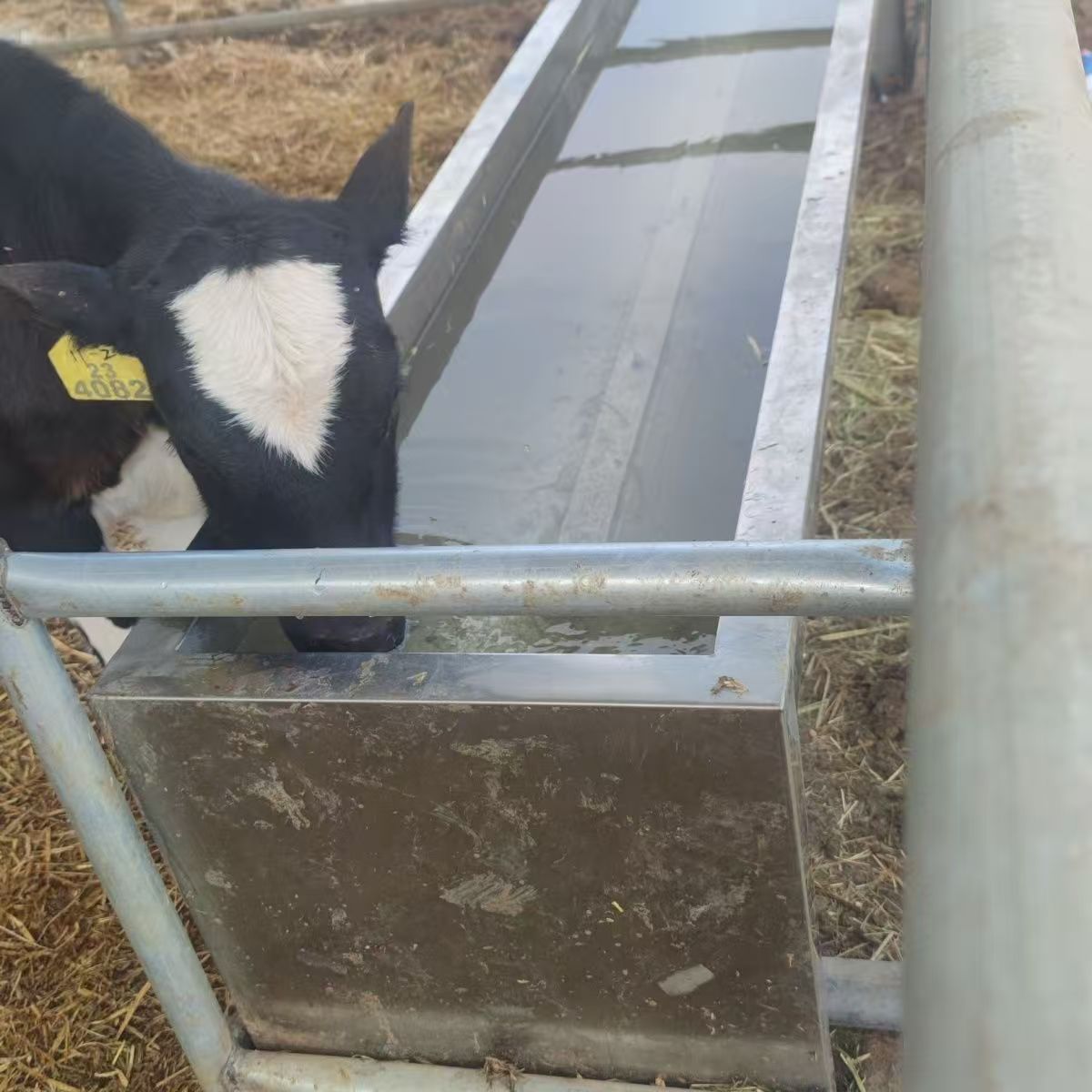 冬季牛羊自动恒温电加热水槽节能省电自动上水不锈钢加热水槽