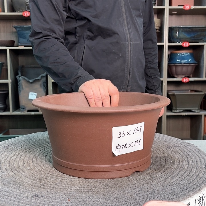 紫砂花盆紫砂的花也太美