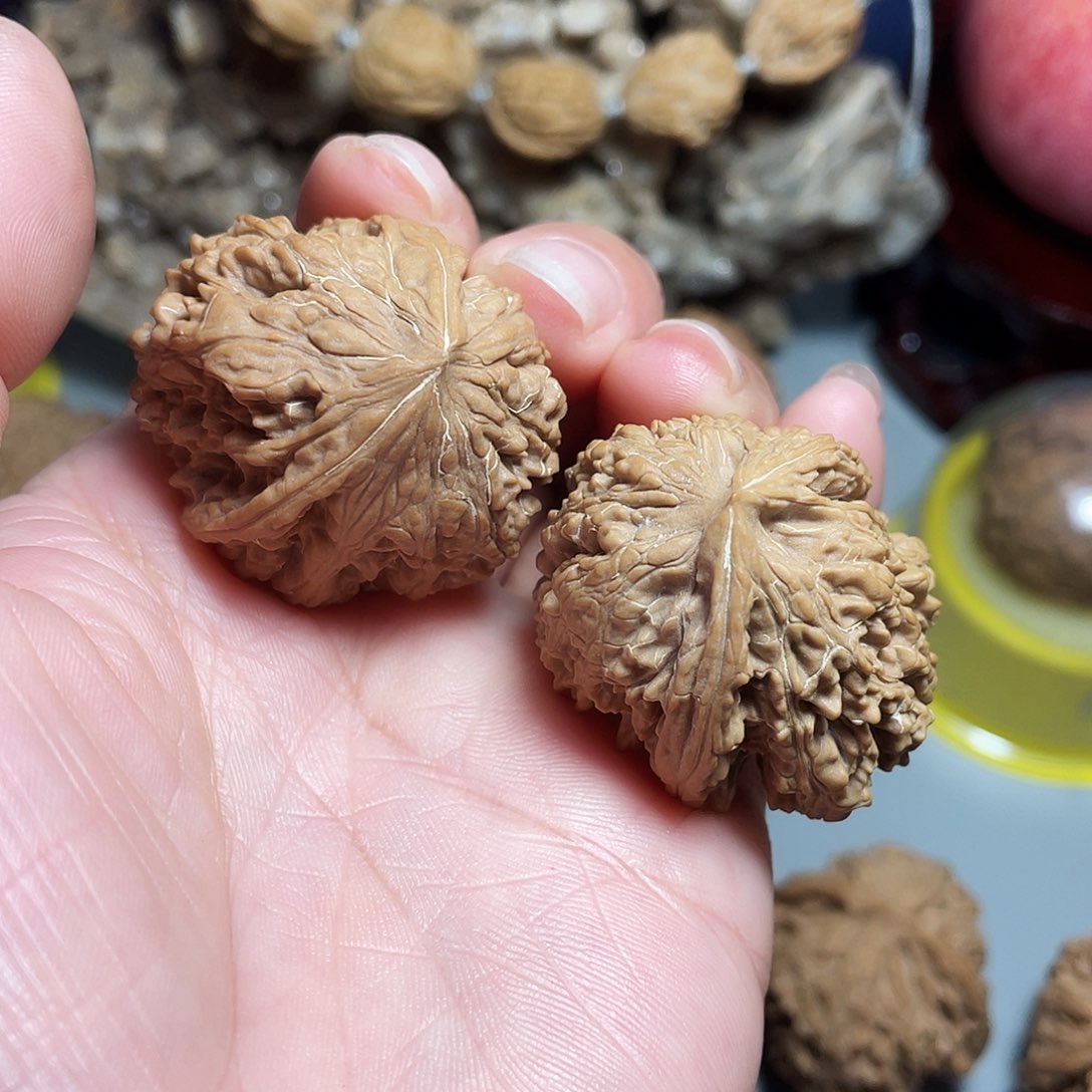 核桃手串/手链精品马蹄飞蛇