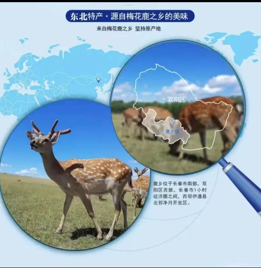 东北鹿乡 滋补 鹿产品 以直播间实物为准