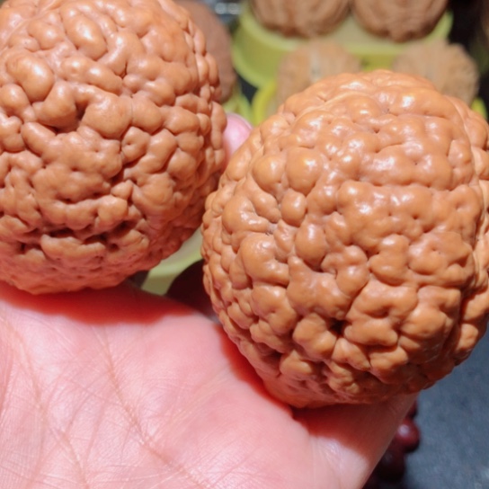 文玩核桃把件脑纹金刚菩提